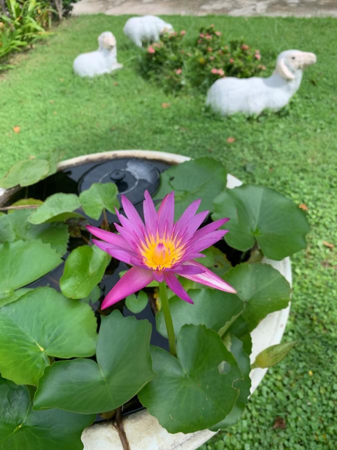 Hotel The Orchid House Nong Kung Yai Exterior foto